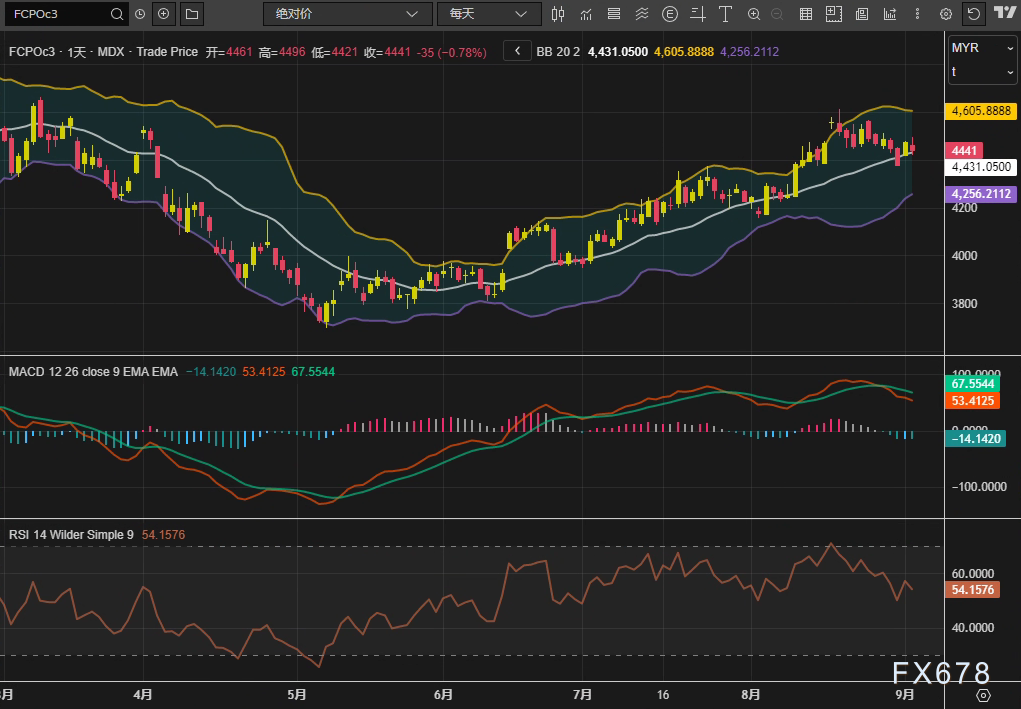 棕榈油多空拉锯4500关键位：印度需求能否对冲油脂板块压力？