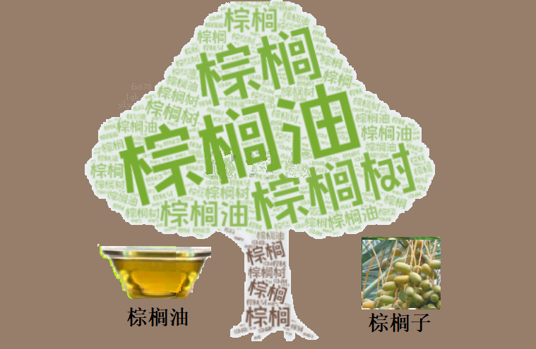 棕榈油逼近关键数据窗口，窄幅震荡中暗藏何种突破玄机？
